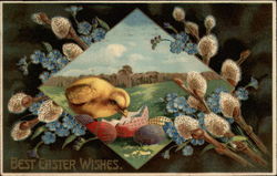 Easter chick with pussy willows Postcard