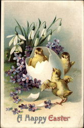 Three Chicks and an Eggshell With Violets and Snowdrops With Chicks Postcard Postcard