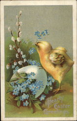 A Chick Gnawing At A Flower Branch Postcard