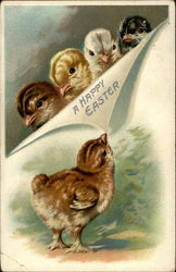 Five Young Chicks with an Easter Greeting Postcard