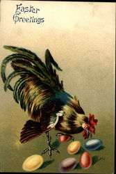 Rooster Peeking At Eggs Postcard Postcard