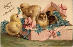 Chicks in a gift box Postcard