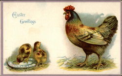 easter bunny chicken family With Chicks Postcard Postcard