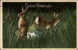 Two Bunnies in the Grass Postcard