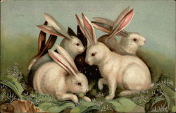 A Pile of Fluffy White Rabbits Postcard