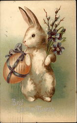 Easter Bunny Postcard