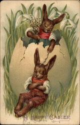 A Rabbit Sleeping In The Tall Grass Postcard