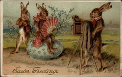 Rabbits Taking Photographs On A Patterned Egg Postcard