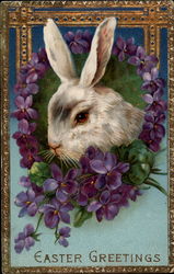 White Rabbit in a Wreath of Violets Postcard