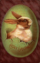 Bunny Portrait on a Green Egg Postcard