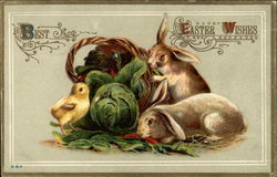 Bunnies Nibble Vegetables Spilling From Basket Postcard