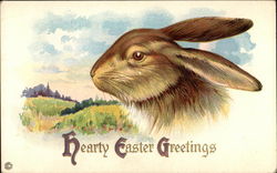 Rabbit Head And Neck In Profile Postcard