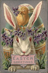 Chick Atop Bunny With Egg In Background With Bunnies Postcard Postcard