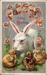 White Bunny Meets Three Yellow Chicks With Chicks Postcard Postcard