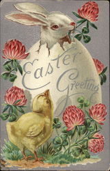 Bunny in an Egg Eggs Postcard Postcard