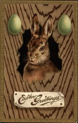 Serious Bunny Postcard