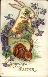 Bunny at Home With Bunnies Postcard Postcard