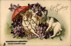 Easter bunny family Postcard