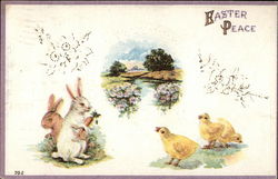 Bunnies and Chicks Postcard