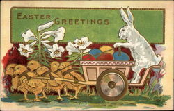 Rabbit and chickens Postcard