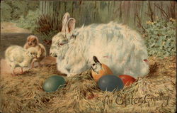 A Relaxing Rabbit Surrounded By Chicks Postcard