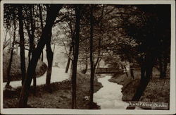 Sunnyhurst Wood Darwen, England Lancashire Postcard Postcard