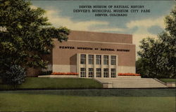 Denver Museum of Natural History - Denver's Municipal Museum City Park Postcard