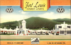 Fort Lewis Tourist Courts Salem, VA Postcard Postcard