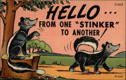 Hello... From One "Stinker" To Another! Postcard