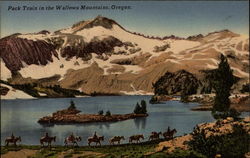 Pack Train in the Wallowa Mountains Postcard