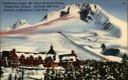 Timberline Lodge, Mt. Hood National Forest Oregon Postcard Postcard