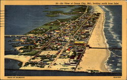 Air View of Ocean City, Maryland Postcard Postcard