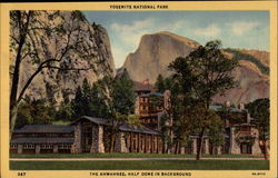 Yosemite National Park California Postcard Postcard