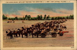 Horse-drawn Artillery Prepared for Inspection. U. S. Army. Camp Jackson Columbia, SC Postcard Postcard