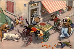 Cat Accident at Fruit Cart Cats Postcard Postcard