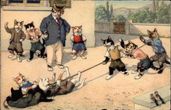 Cat Tug of War Cats Postcard Postcard