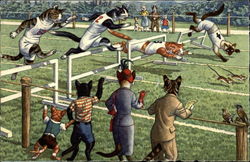 Cat Races Postcard