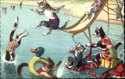 Cats Swimming at the Beach Postcard Postcard