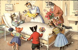 Happy Family of Cats in the Kitty Maternity Ward Postcard