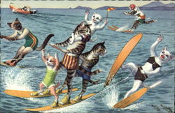 Mainzer Cats Waterskiing Postcard