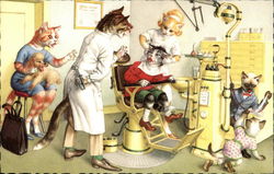 Cats at the Dentist Postcard Postcard