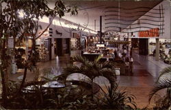 View from the Gardens of the West Court overlooking the Fountain in North Star Mall Postcard