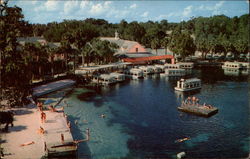 Florida's Silver Springs Postcard Postcard