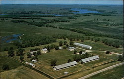 Fort Sisseton (1864-1889) Lake City, SD Postcard Postcard