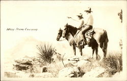 West Texas Cowboys Cowboy Western Postcard Postcard