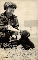 Cub Bear at Peterson's Resort Postcard