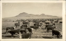 A Round Up Scence in the Southwest Postcard