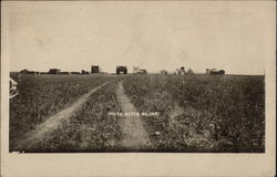 White Butte South Dakota Postcard Postcard