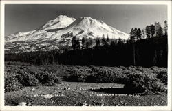 Mt. Shasta Postcard