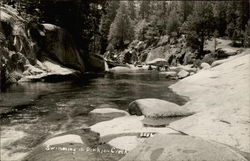 Swimming in Dinkie Creek Postcard